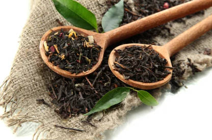 Dried green tea leaves in wooden spoons – key ingredient in Organic Green Tea Extract